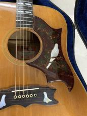 Gibson DOVE CUSTOM NAT 1973年〜75年製 ビンテージ感 たっぷり!_3