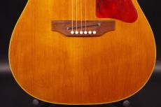 Gibson B-25 NT 1969_9