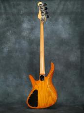 Inner Wood Custom 4st Bass HH with Bartolini NTMB+F_10