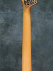 Inner Wood Custom 4st Bass HH with Bartolini NTMB+F_12