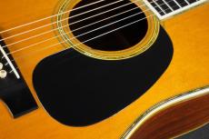 Martin D-45_12