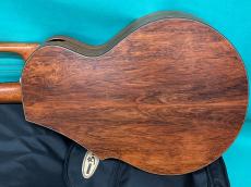 Brunner Guitars B-Compact Harp (20-Strings Harp Guitar) _3