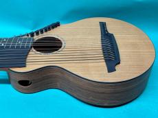 Brunner Guitars B-Compact Harp (20-Strings Harp Guitar) _4