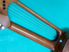 Brunner Guitars B-Compact Harp (20-Strings Harp Guitar) _8