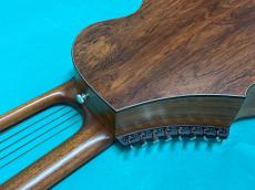 Brunner Guitars B-Compact Harp (20-Strings Harp Guitar) _9
