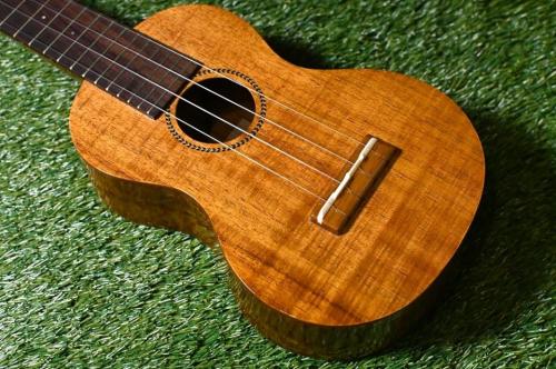 Famous FLS-2G Soprano LongNeck