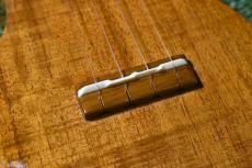 Famous FLS-2G Soprano LongNeck_12