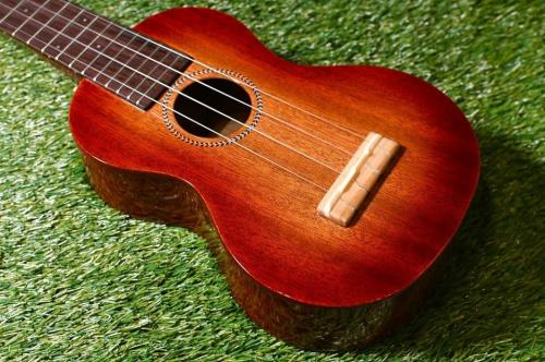 Famous FS-7G Soprano