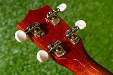 Famous FS-7G Soprano_6