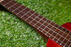 Famous FS-7G Soprano_7