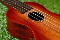 Famous FS-7G Soprano_11