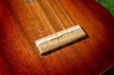 Famous FS-7G Soprano_12