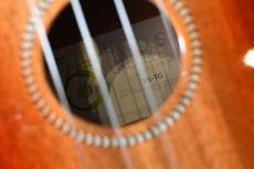 Famous FS-7G Soprano_16