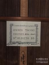 Andrea Tacchi  アンドレア・タッキ 2001年製 Coclea コクレア 松・ローズウッド【日本総本店2F 在庫品】_4