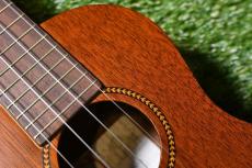 Famous FC-3 Concert_10