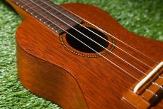 Famous FC-3 Concert_11