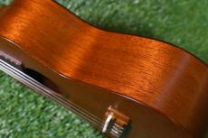 Famous FC-3 Concert_14