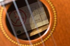 Famous FC-3 Concert_16