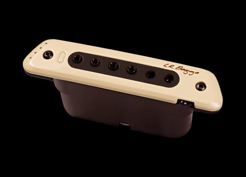 L.R.Baggs M80