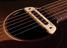 L.R.Baggs M80_2
