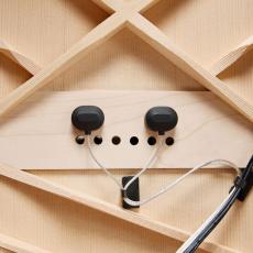 L.R.Baggs HiFi DNA_2
