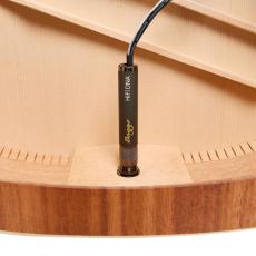 L.R.Baggs HiFi DNA_5