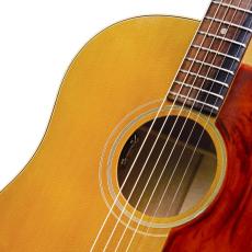 L.R.Baggs HiFi DNA_8