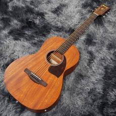Ibanez PN12MHE OPN (Open Pore Natural) 【特価】_2