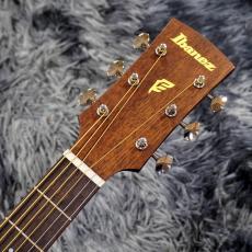 Ibanez PN12MHE OPN (Open Pore Natural) 【特価】_6