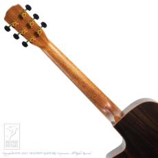 Morris S-101M "Minamizawa Daisuke" Model_7