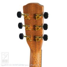 Morris S-101M "Minamizawa Daisuke" Model_9