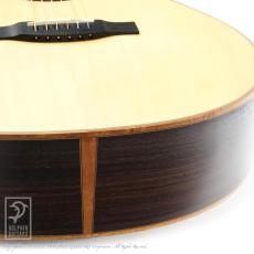 Morris S-101M "Minamizawa Daisuke" Model_14