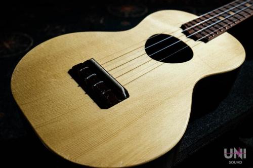 KoAloha Opio KCO-10S Concert / 2019