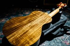 KoAloha Opio KCO-10S Concert / 2019_8