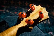 KoAloha Opio KCO-10S Concert / 2019_10