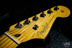 Fender American Professional II Stratocaster HSS / 2023_4