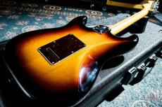 Fender American Professional II Stratocaster HSS / 2023_8