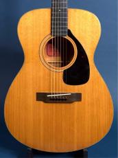 YAMAHA FG-110_2