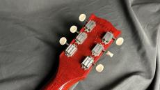 Gibson Lespaul Special 2016 Japan Proprietary_7