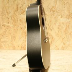 IRIS GUITAR COMPANY DF Model Black_4
