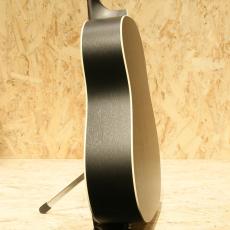 IRIS GUITAR COMPANY DF Model Black_5