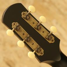 IRIS GUITAR COMPANY DF Model Black_9