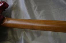 Bacchus BMS-1-RSM/M-TTPG CAR_5