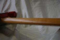 Bacchus BMS-1-RSM/M-TTPG CAR_8