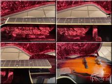 Loar LH-700_5