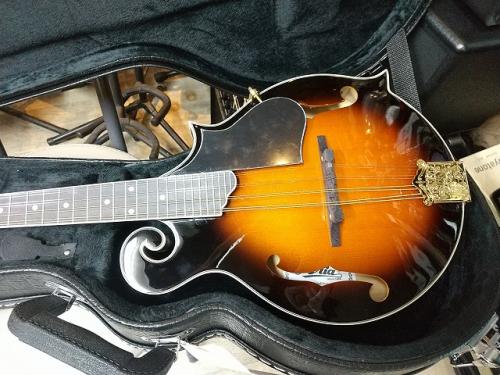 ARIA AM-40 　Mandolin　マイク搭載!!ハードケース付き　アンプに繋げる　アリア　　マンドリン　【　Electric Bluegrass F Mandorin　】Fタイプモデル　 F-model Mandolin 《マンドリン》