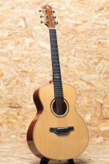 Naga Guitars S-10GS_3