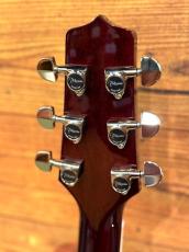 Takamine DMP551C WR【国産エレアコ】【深いワインレッドカラー】【48回無金利】_5
