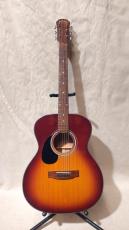 Aria Dreadnought AF-201