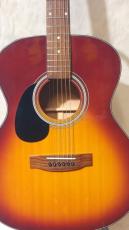 Aria Dreadnought AF-201_2